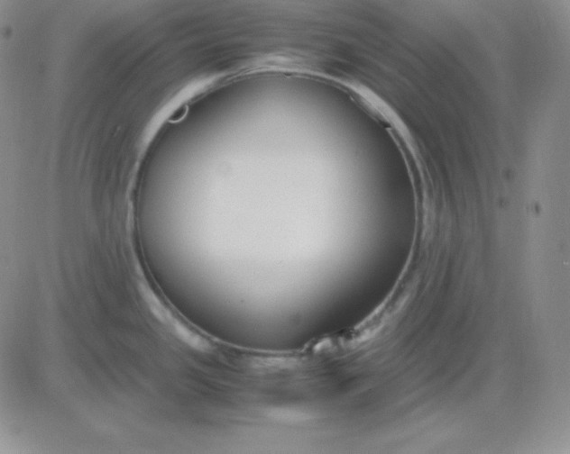 X0000081311341200701251733