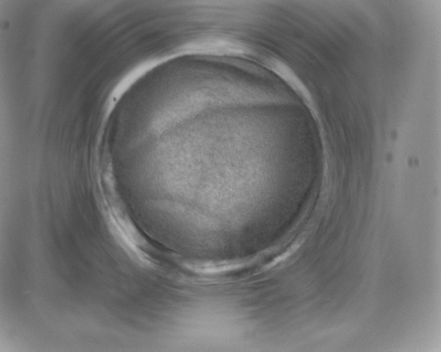 X0000081311344200701251733