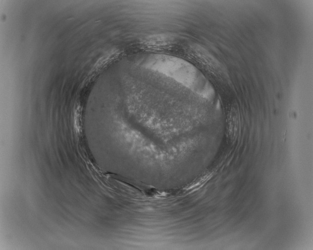 X0000081311346200701251733