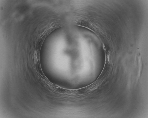 X0000081311347200701251733