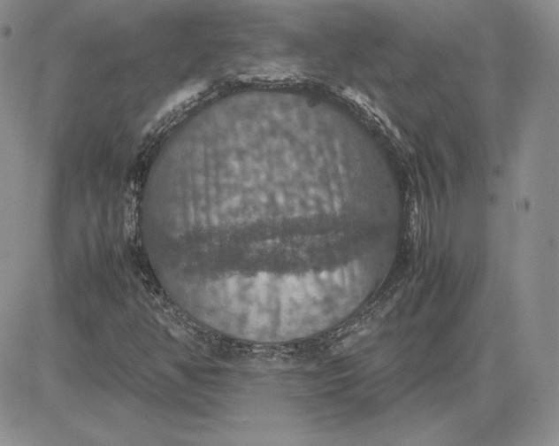 X0000081311350200701251733