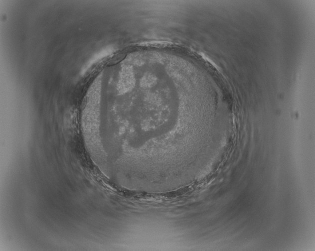 X0000081311351200701251732