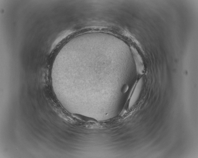 X0000081311352200701251732