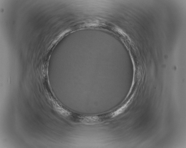 X0000081311353200701251732