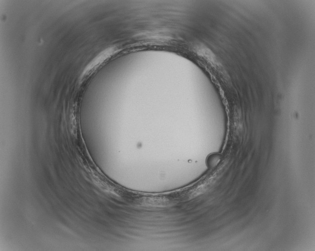 X0000081311354200701251732