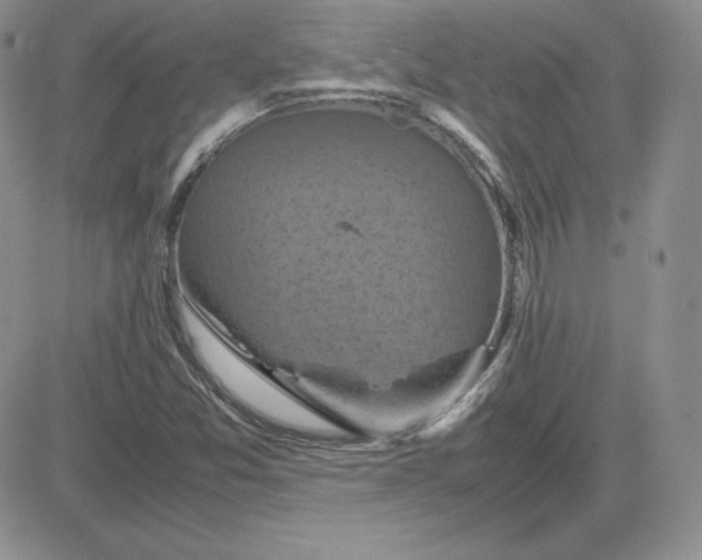 X0000081311357200701251732