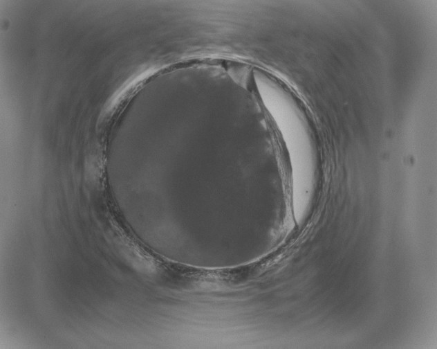 X0000081311359200701251732