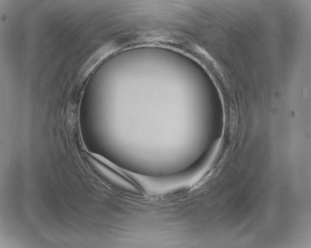 X0000081311361200701251732