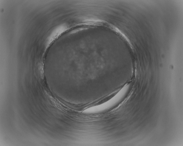 X0000081311362200701251732