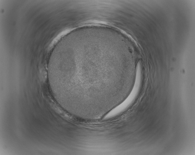 X0000081311363200701251732