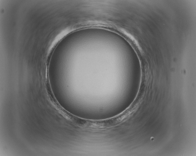 X0000081311365200701251732