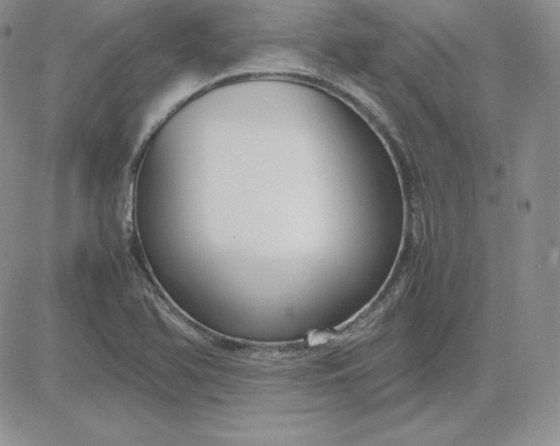 X0000081311366200701251732