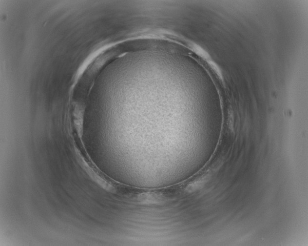 X0000081311368200701251732