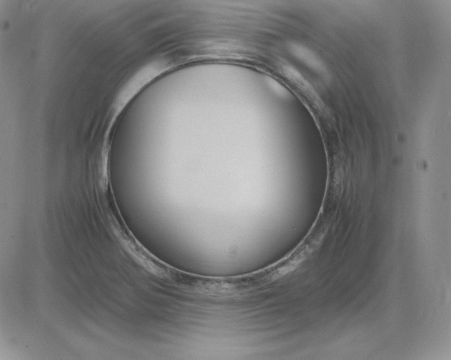 X0000081311370200701251732