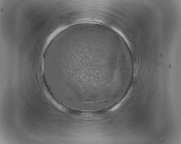 X0000081311371200701251732