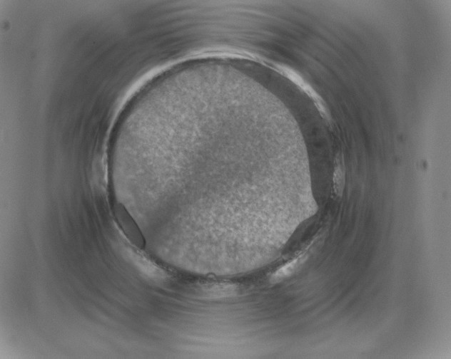 X0000081311372200701251732