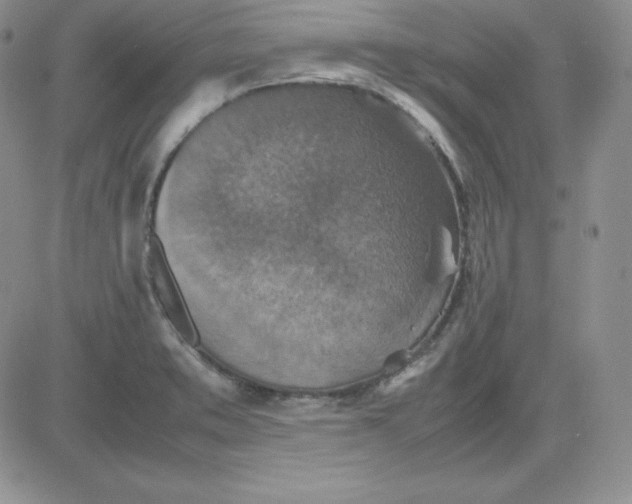 X0000081311373200701251732