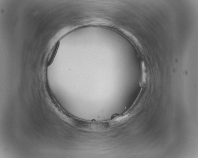 X0000081311375200701251732