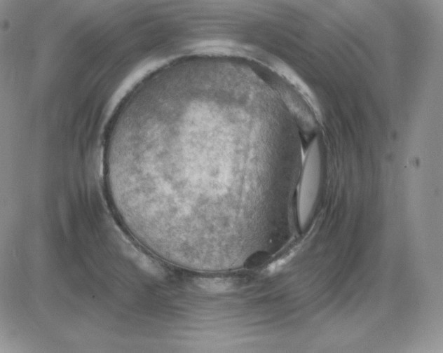 X0000081311376200701251732