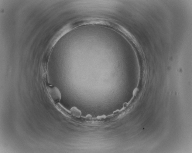 X0000081311377200701251732