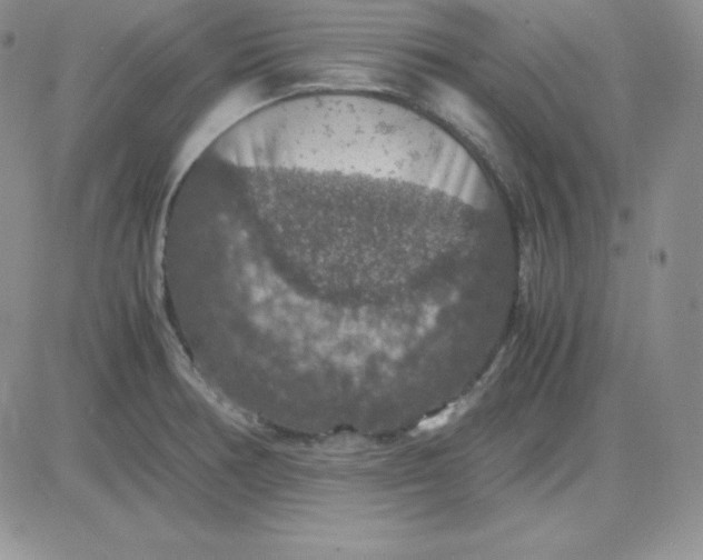 X0000081311378200701251732