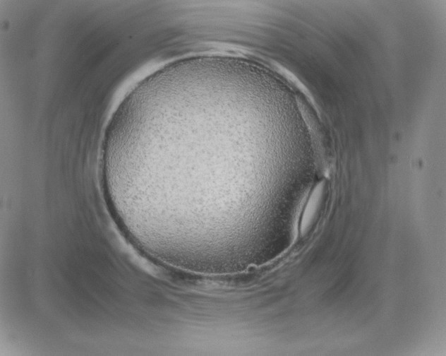 X0000081311379200701251732