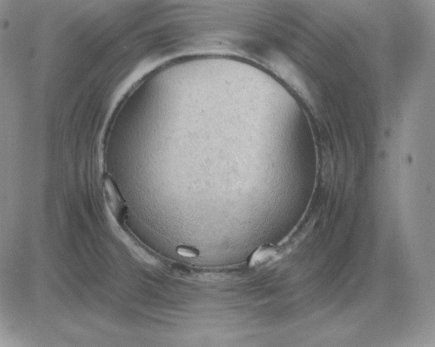 X0000081311380200701251732