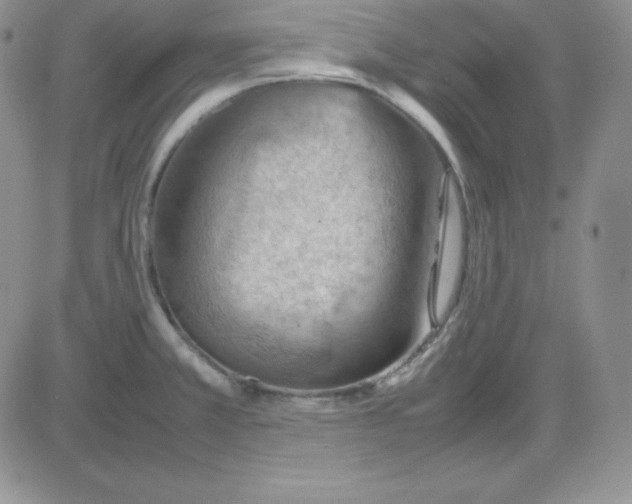 X0000081311381200701251732