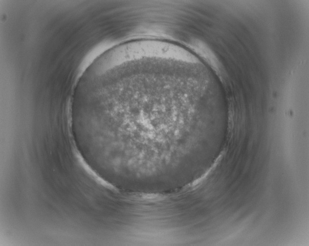 X0000081311382200701251732