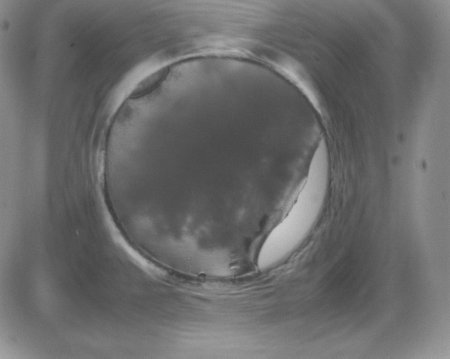 X0000081311383200701251732