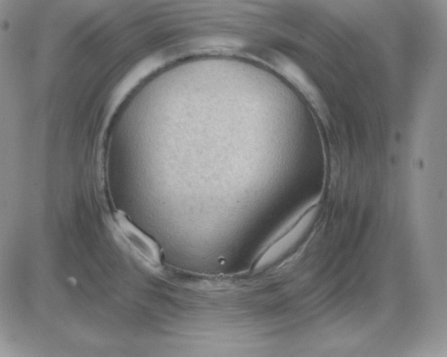 X0000081311384200701251732