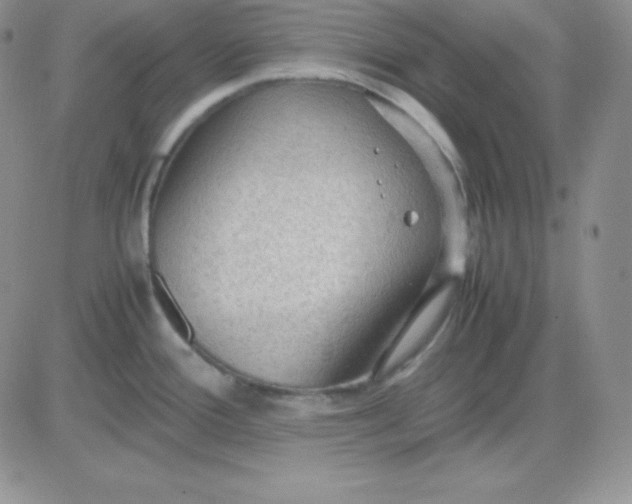 X0000081311388200701251732