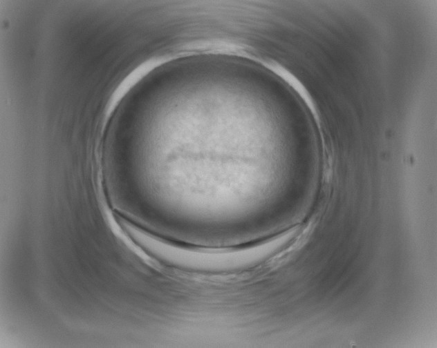 X0000081311389200701251732