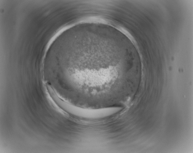 X0000081311392200701251732