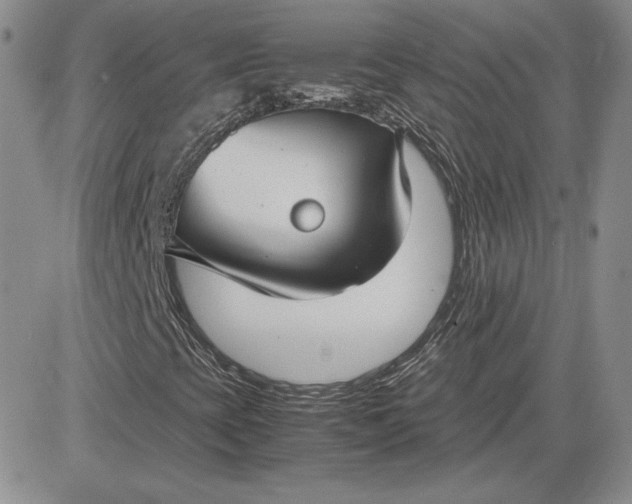 X0000081311393200701251731