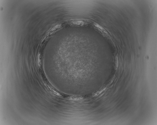 X0000081311394200701251731