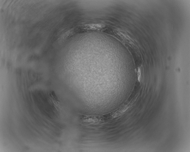 X0000081311395200701251731