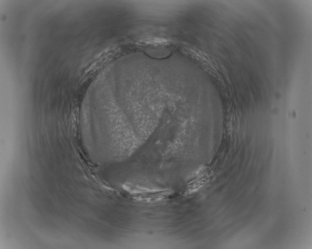 X0000081311397200701251731