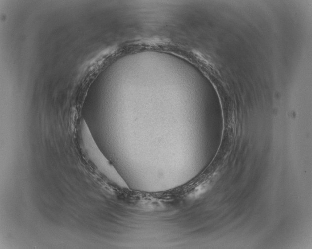 X0000081311398200701251731