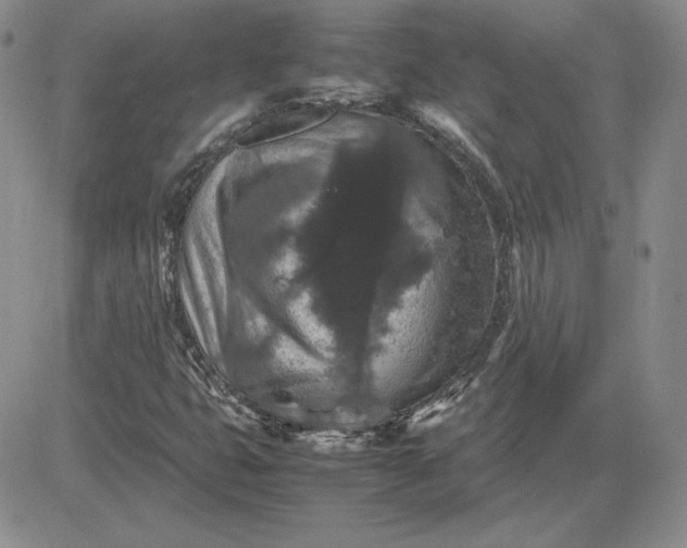 X0000081311399200701251731