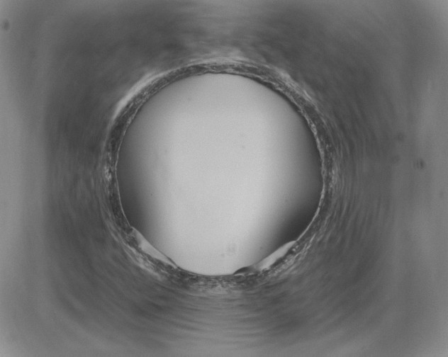 X0000081311400200701251731