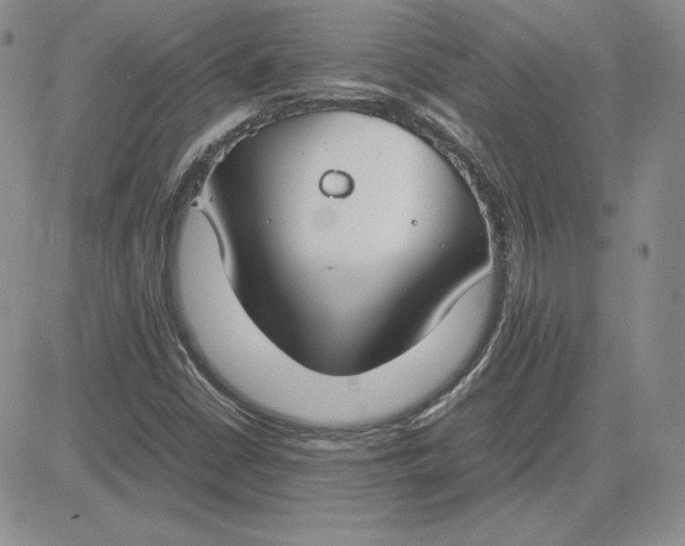 X0000081311402200701251731