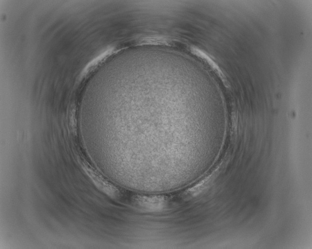 X0000081311403200701251731