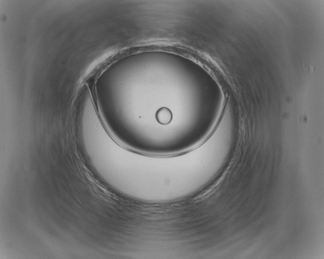 X0000081311406200701251731