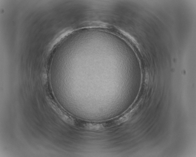 X0000081311407200701251731