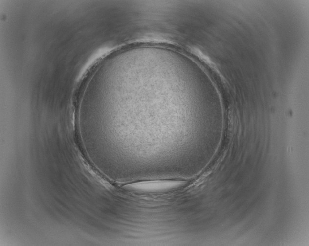 X0000081311408200701251731