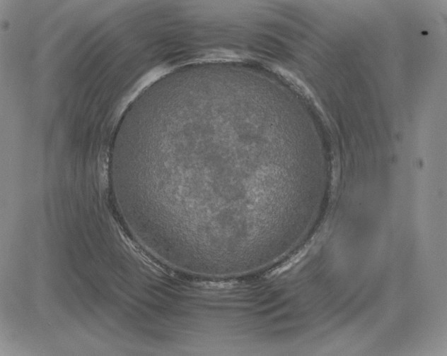 X0000081311409200701251731