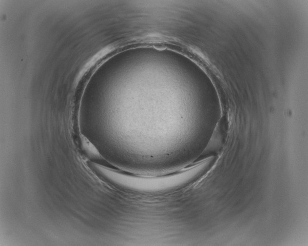 X0000081311410200701251731