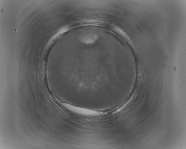 X0000081311411200701251731