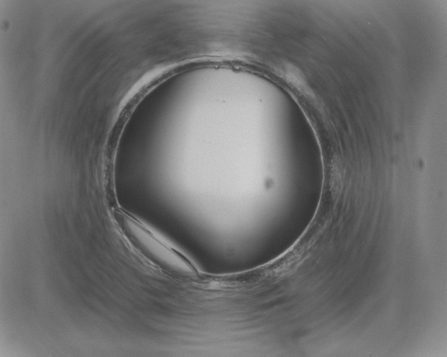 X0000081311412200701251731